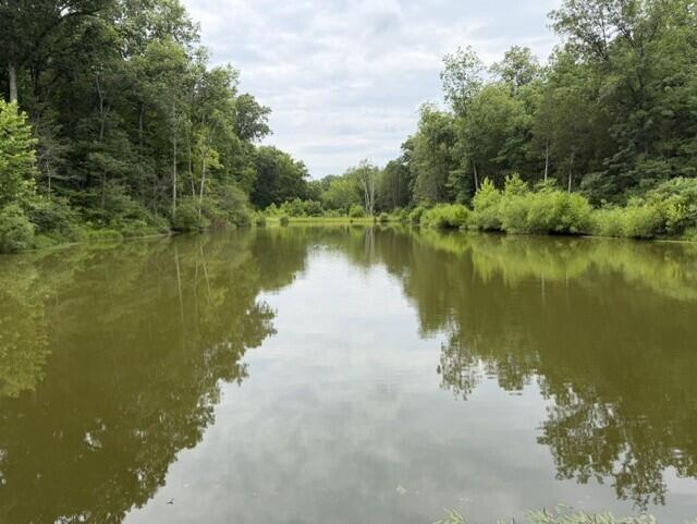 0 Kelly Ridge Road Irvine, KY 40336 - Photo 13 of 39 18