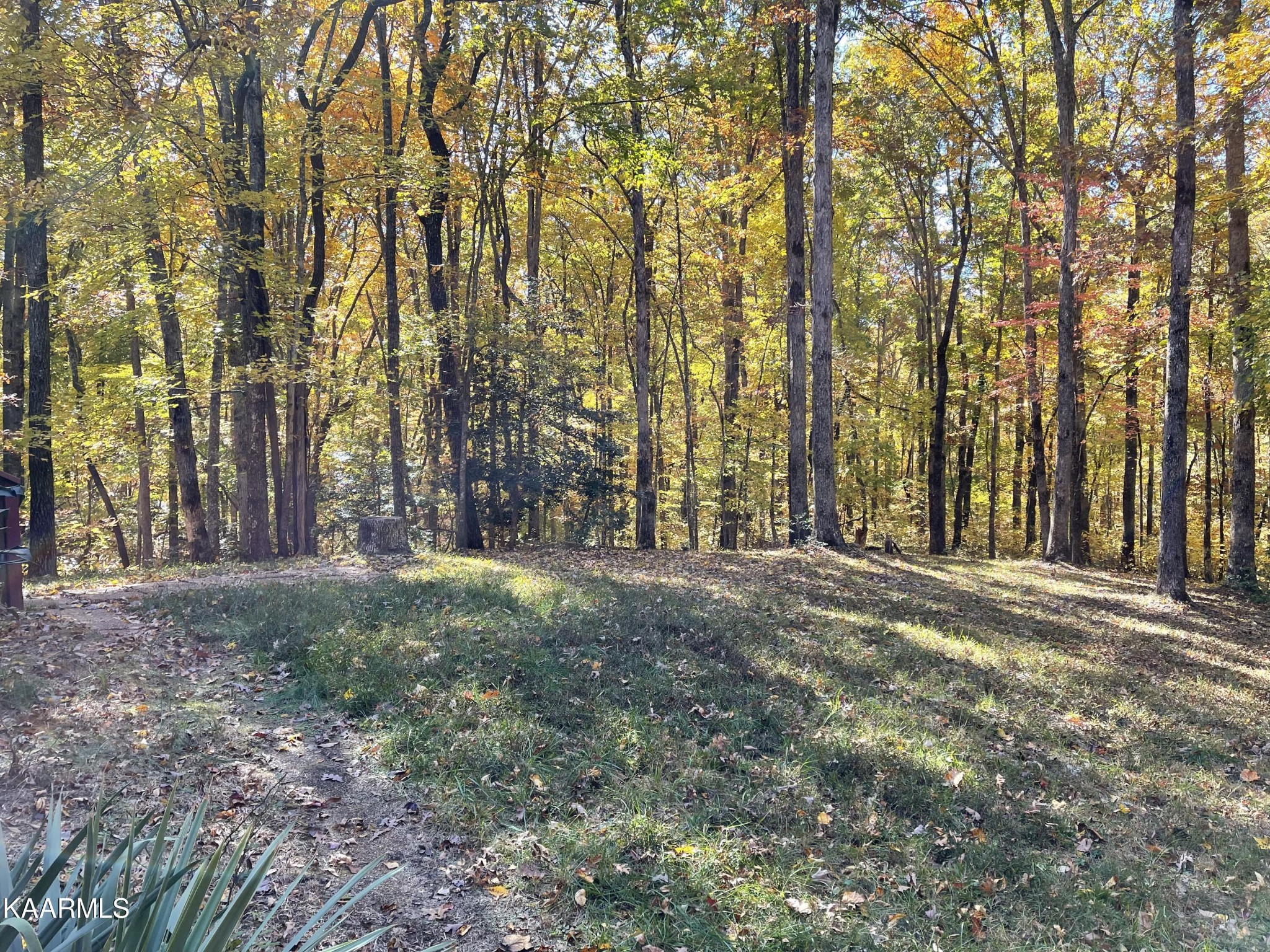 339 East Cove Road Monterey, TN 38574 - Photo 26 of 30 Gallery Image 26
