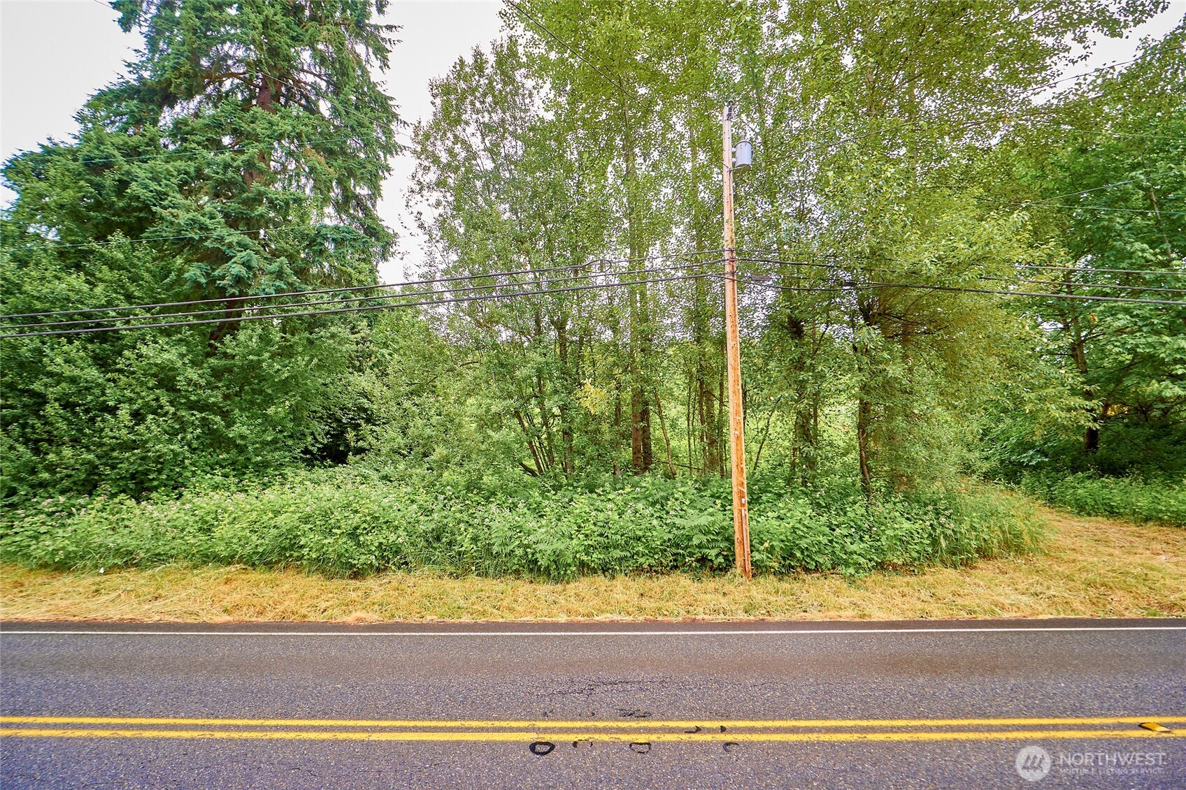 16718 Southeast May Valley Road Renton, WA 98059 - Photo 5 of 12