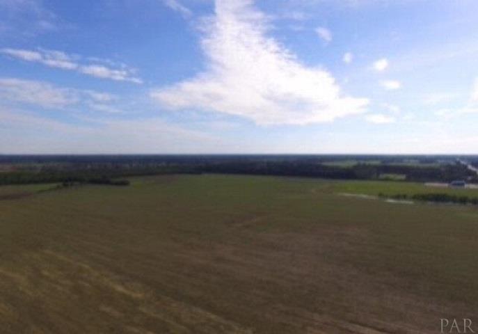 0 Foley Expressway Foley, AL 36535 - Photo 3 of 8
