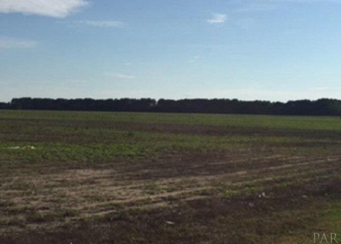 0 Foley Expressway Foley, AL 36535 - Photo 5 of 8