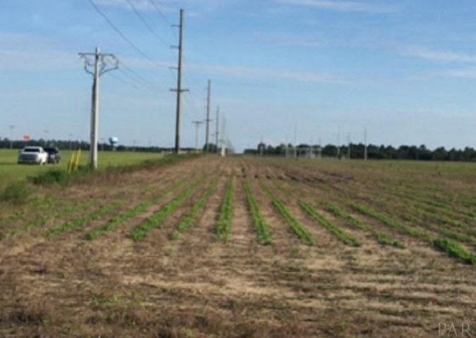 0 Foley Expressway Foley, AL 36535 - Photo 6 of 8