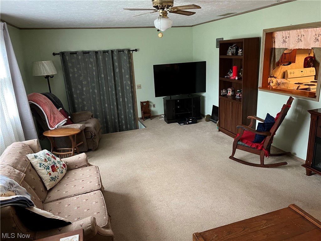 939 Doyle Road Jefferson, OH 44047 - Photo 3 of 16 Gallery Image 3