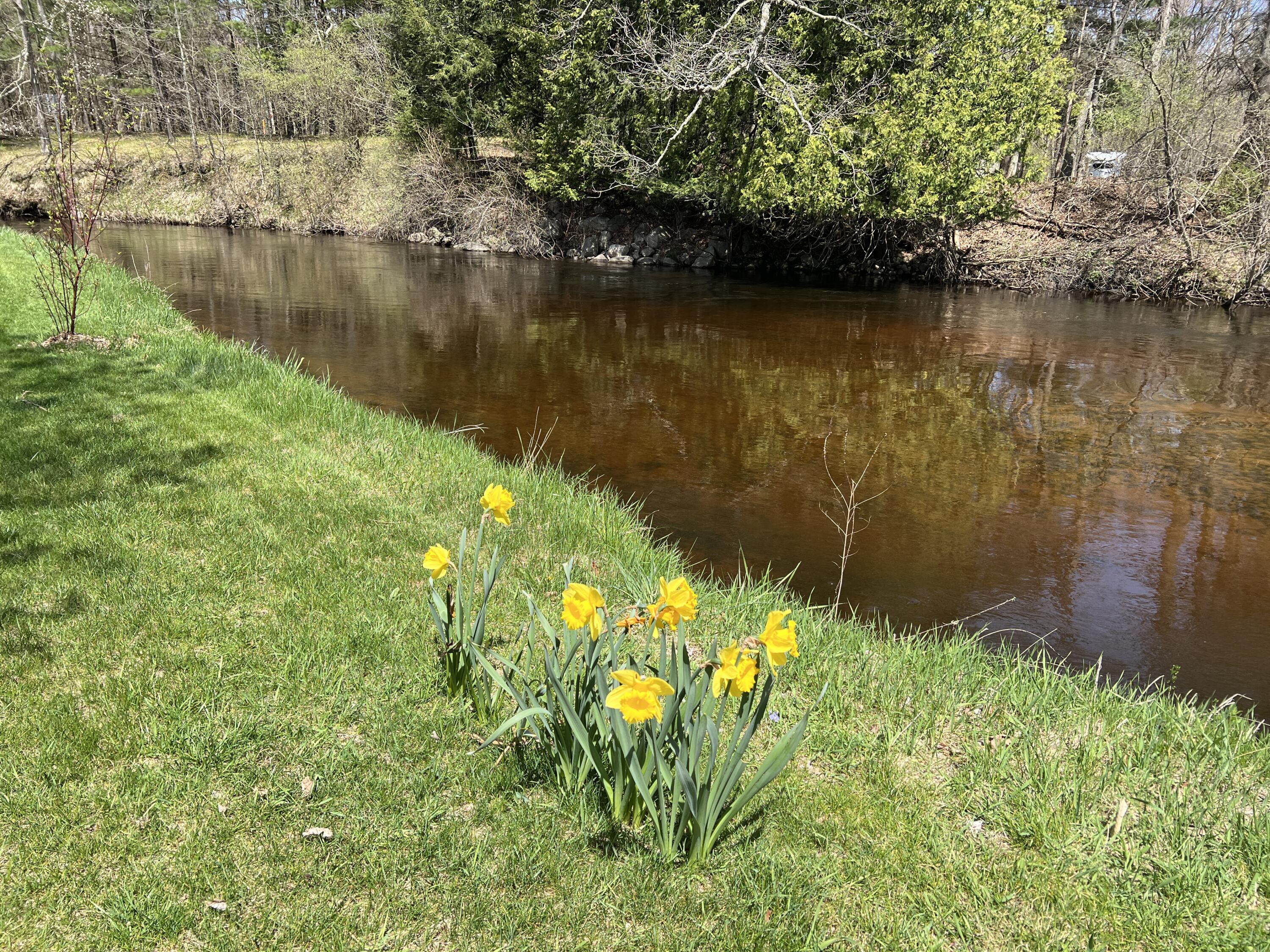 6425 South Taylor Road Branch, MI 49402 - Photo 12 of 62 IMG_5795 2