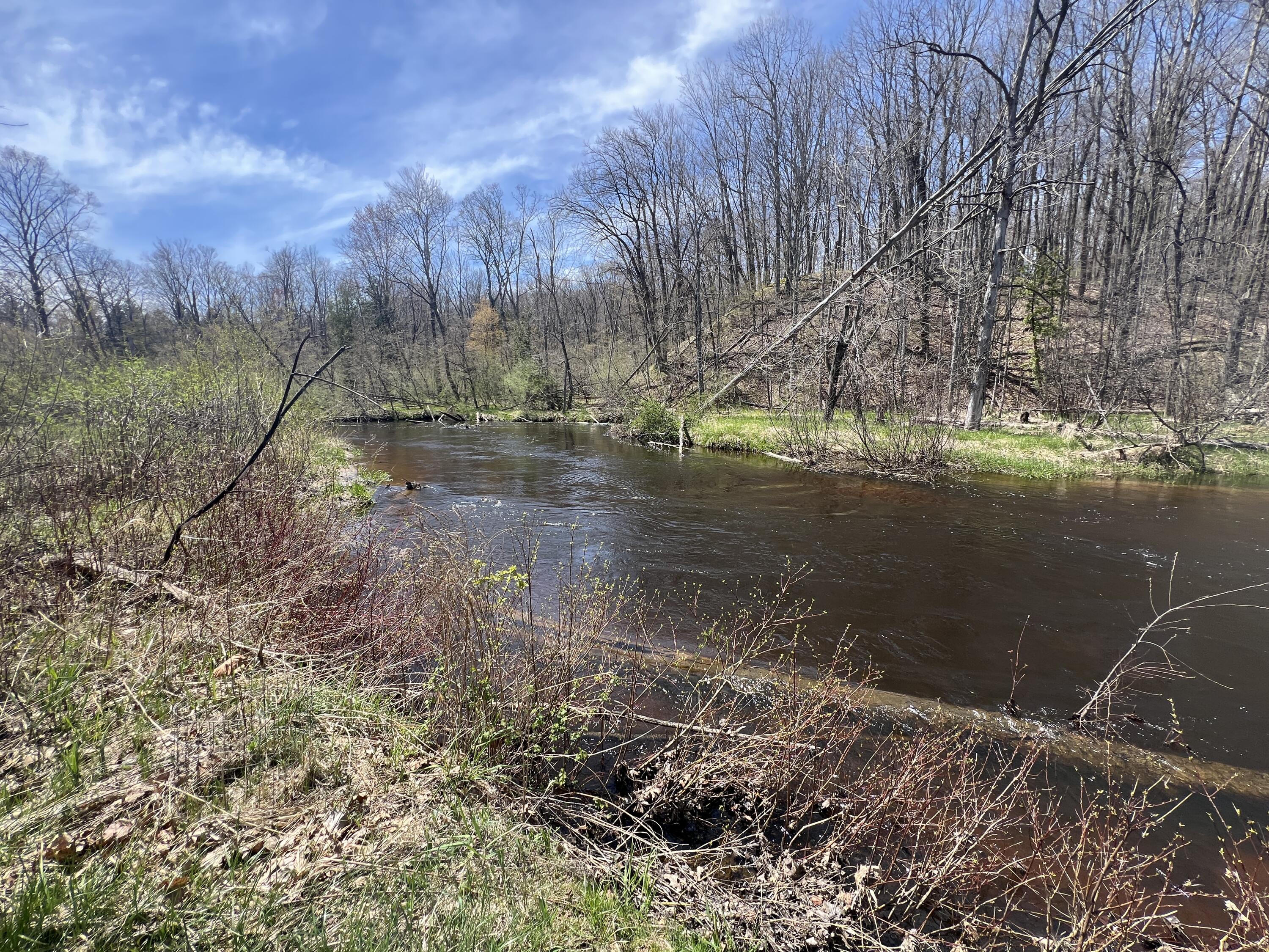 6425 South Taylor Road Branch, MI 49402 - Photo 48 of 62 IMG_5803 2