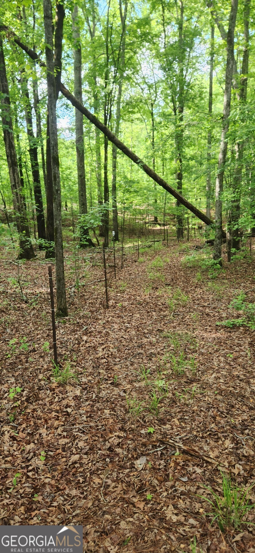 678 Seabolt Road Locust Grove, GA 30248 - Photo 11 of 13 a view of lake view