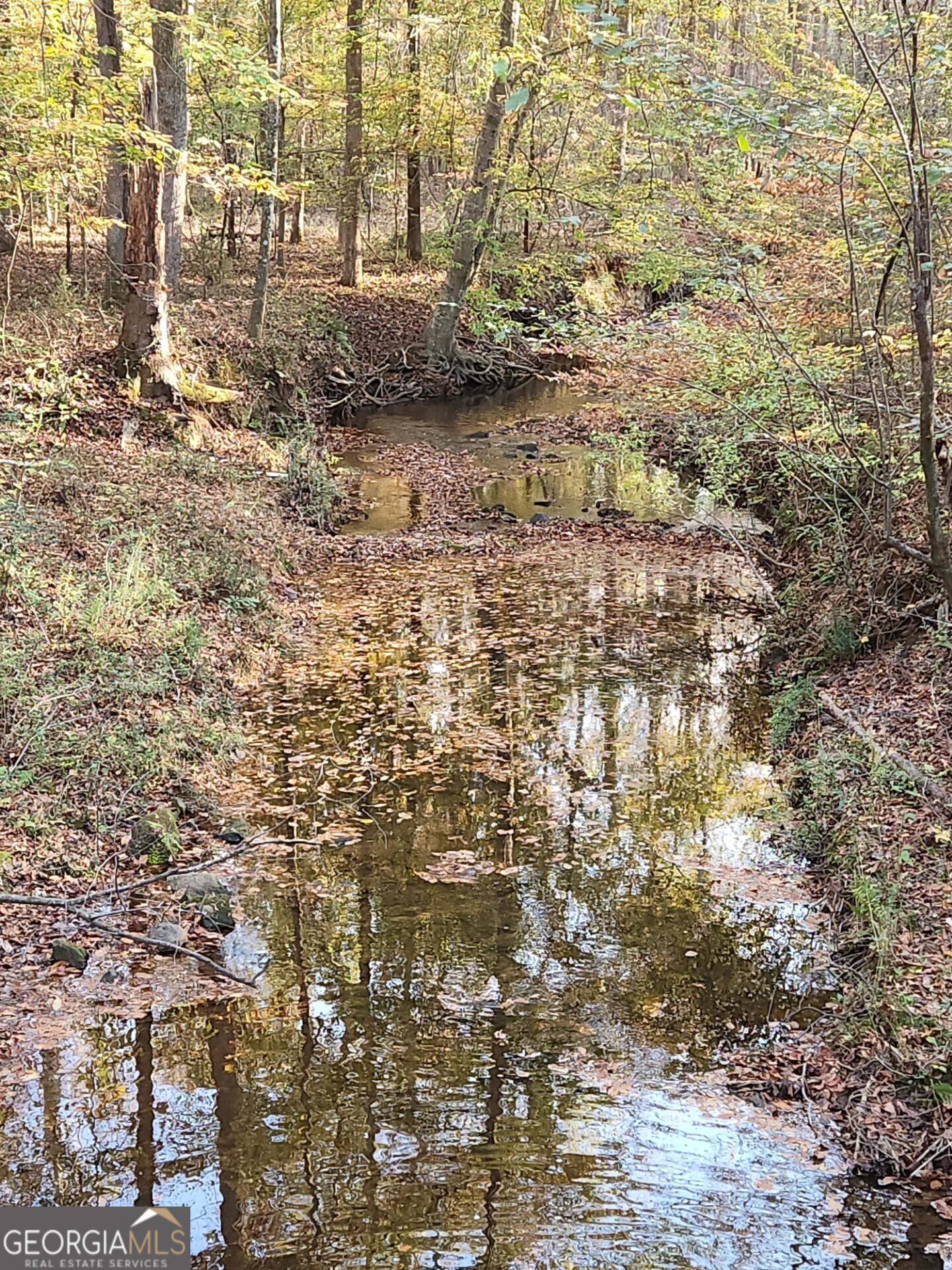 678 Seabolt Road Locust Grove, GA 30248 - Photo 4 of 13 a view of empty room with wooden floor