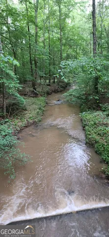 a view of a dirt road with large trees