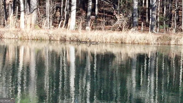 a view of backyard with green space