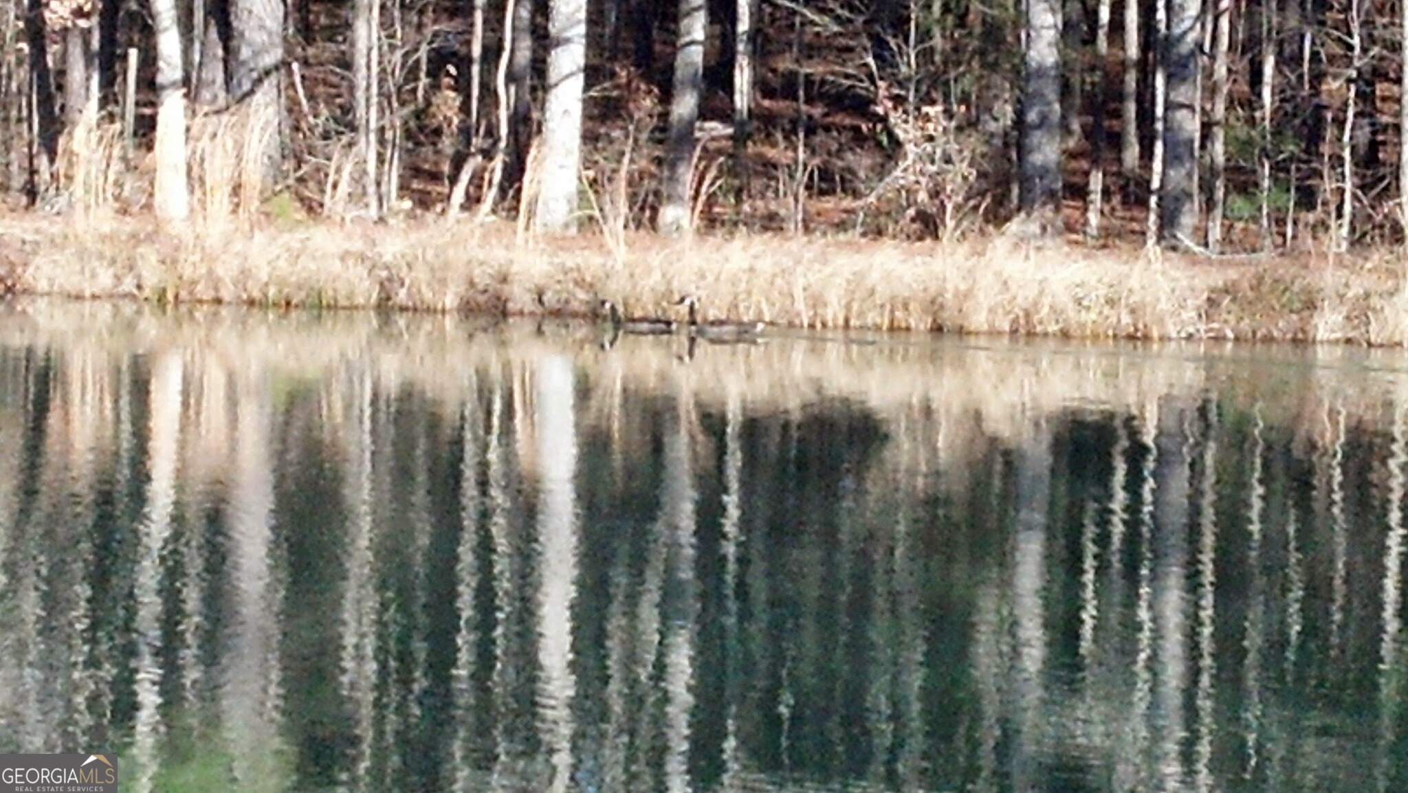 678 Seabolt Road Locust Grove, GA 30248 - Photo 7 of 13 a view of wooden fence
