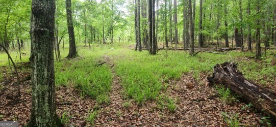 678 Seabolt Road Locust Grove, GA 30248 - Photo 8 of 13 a view of backyard with green space