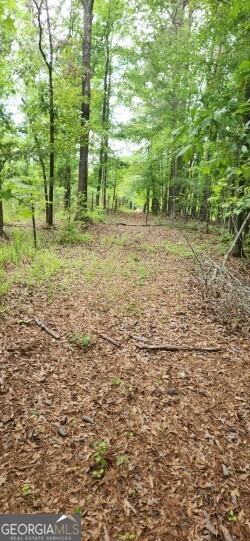 678 Seabolt Road Locust Grove, GA 30248 - Photo 10 of 13 a view of outdoor space and yard