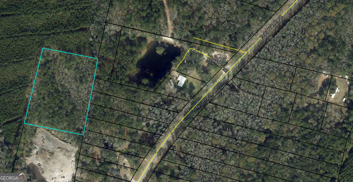 0 Youngman Road Townsend, GA 31331 - Photo 8 of 9