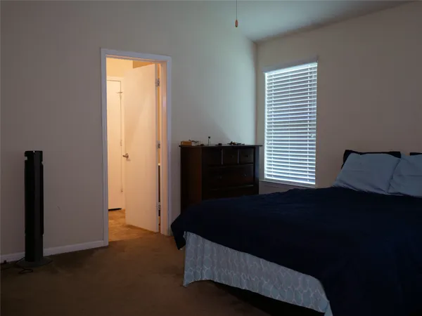 a view of a backyard with plants and large tree