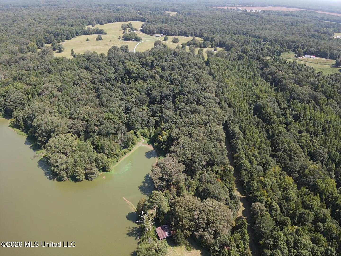 Wildwood Road Vaughan, MS 39179 - Photo 10 of 51 2026-07-28-10-58-36-193