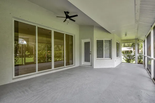 a view of a park with large trees