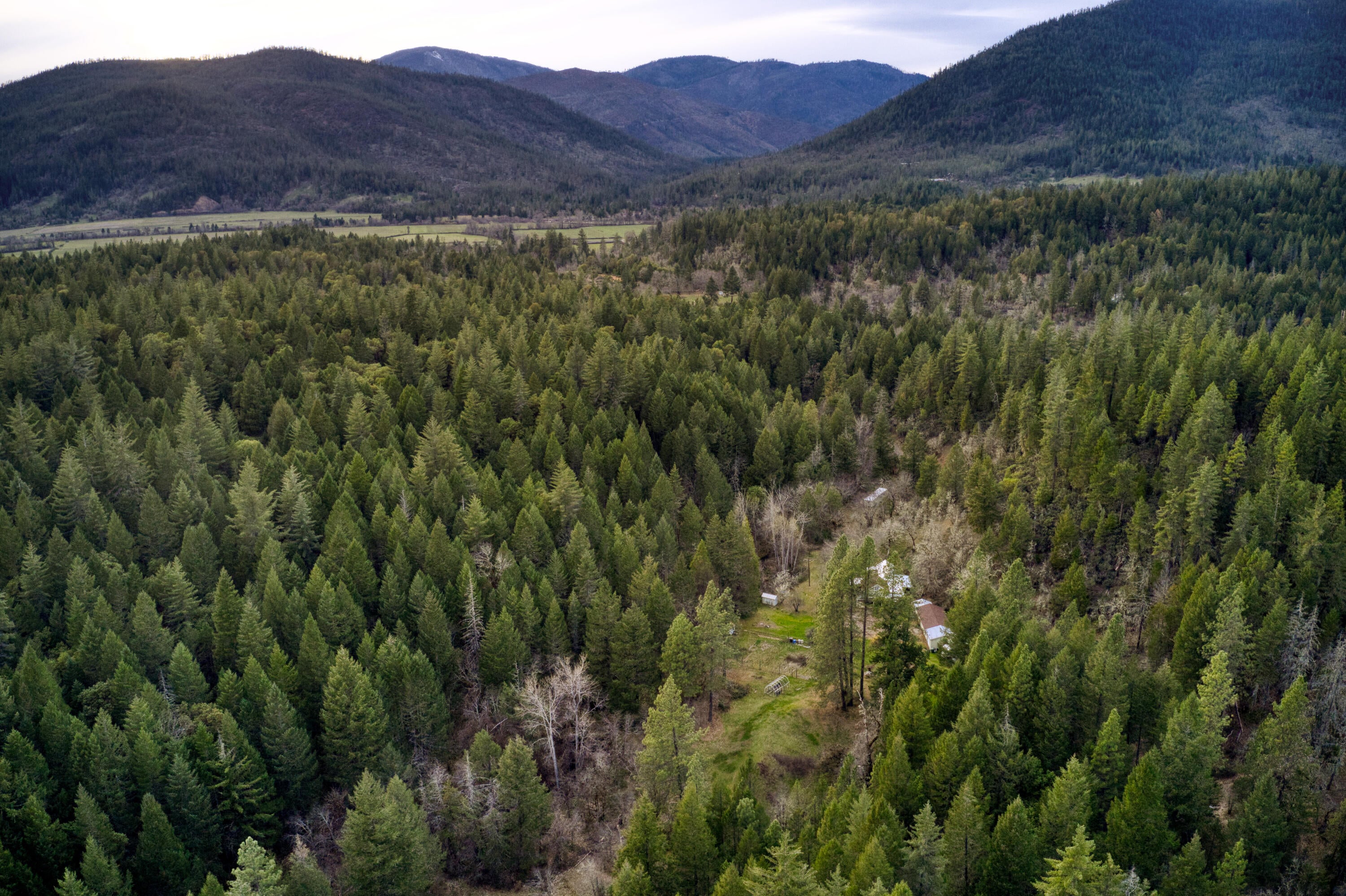 4609 Reeves Creek Road Selma, OR 97538 - Photo 34 of 35 Drone- Aeriel Facing Towards Reeves Crk