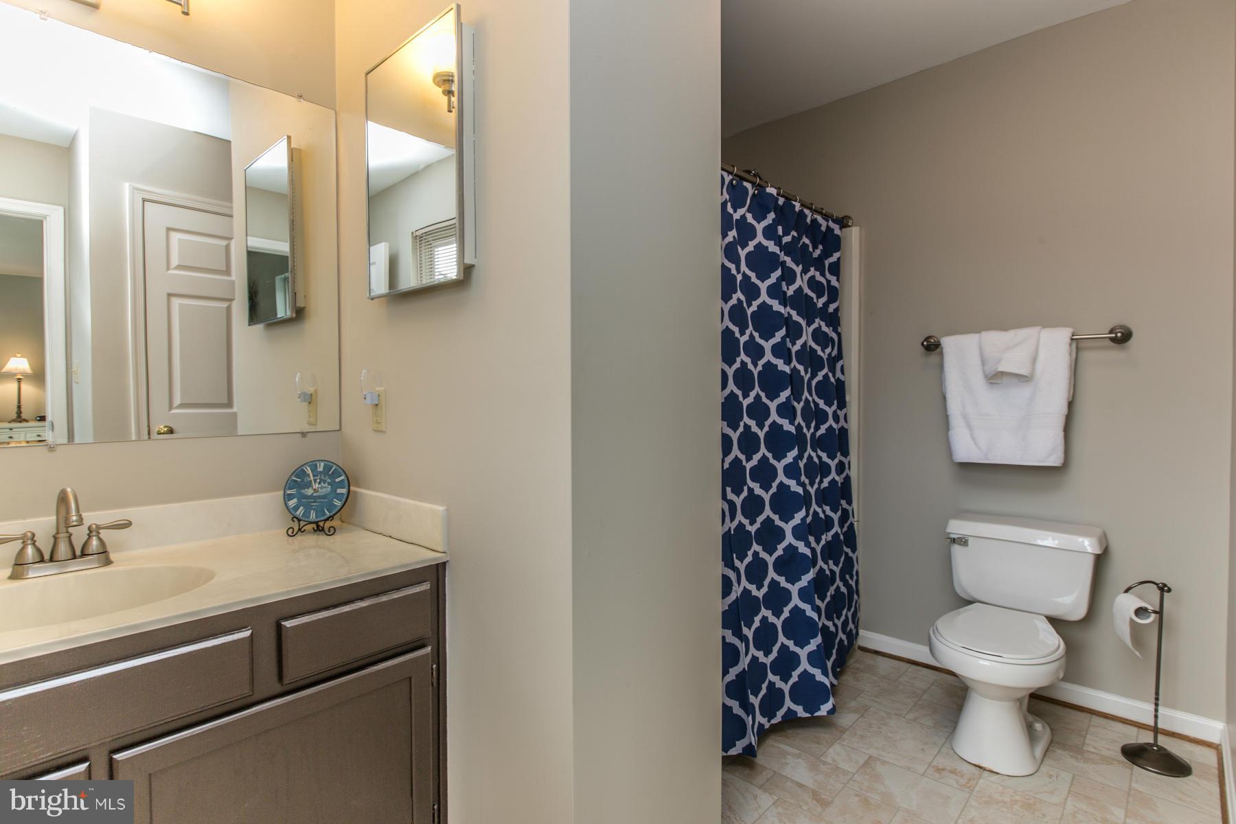 2694 Leslie Road Mount Airy, MD 21771 - Photo 20 of 30 Bath (Master)