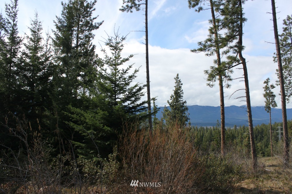 7 Meadow Ridge Drive Cle Elum, WA 98922 - Photo 1 of 15 Gallery Image 1