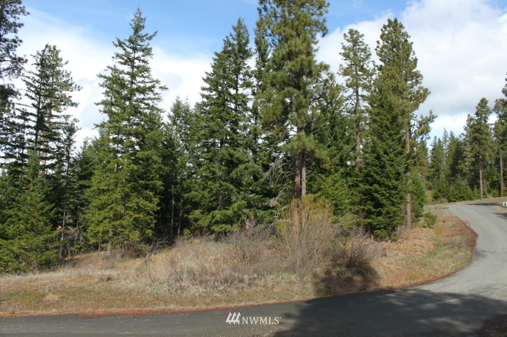 7 Meadow Ridge Drive Cle Elum, WA 98922 - Photo 2 of 15 Gallery Image 2