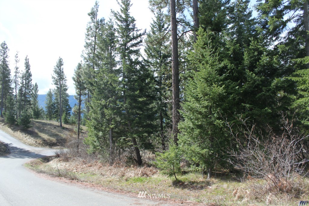 7 Meadow Ridge Drive Cle Elum, WA 98922 - Photo 12 of 15 Gallery Image 12