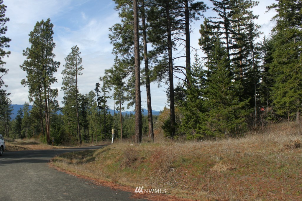 7 Meadow Ridge Drive Cle Elum, WA 98922 - Photo 4 of 15 Gallery Image 4