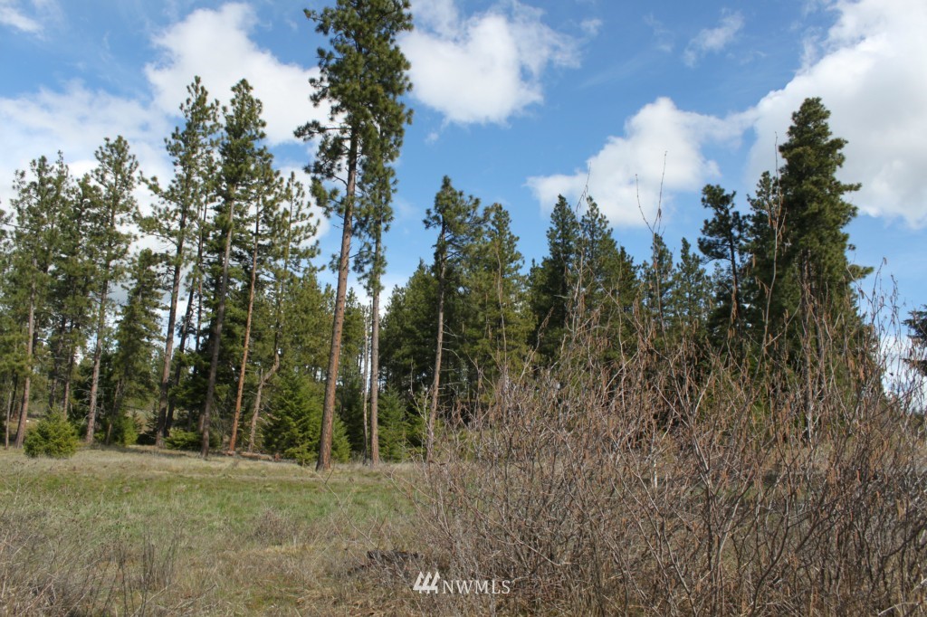 7 Meadow Ridge Drive Cle Elum, WA 98922 - Photo 8 of 15 Gallery Image 8
