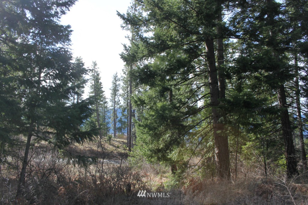 7 Meadow Ridge Drive Cle Elum, WA 98922 - Photo 10 of 15 Gallery Image 10