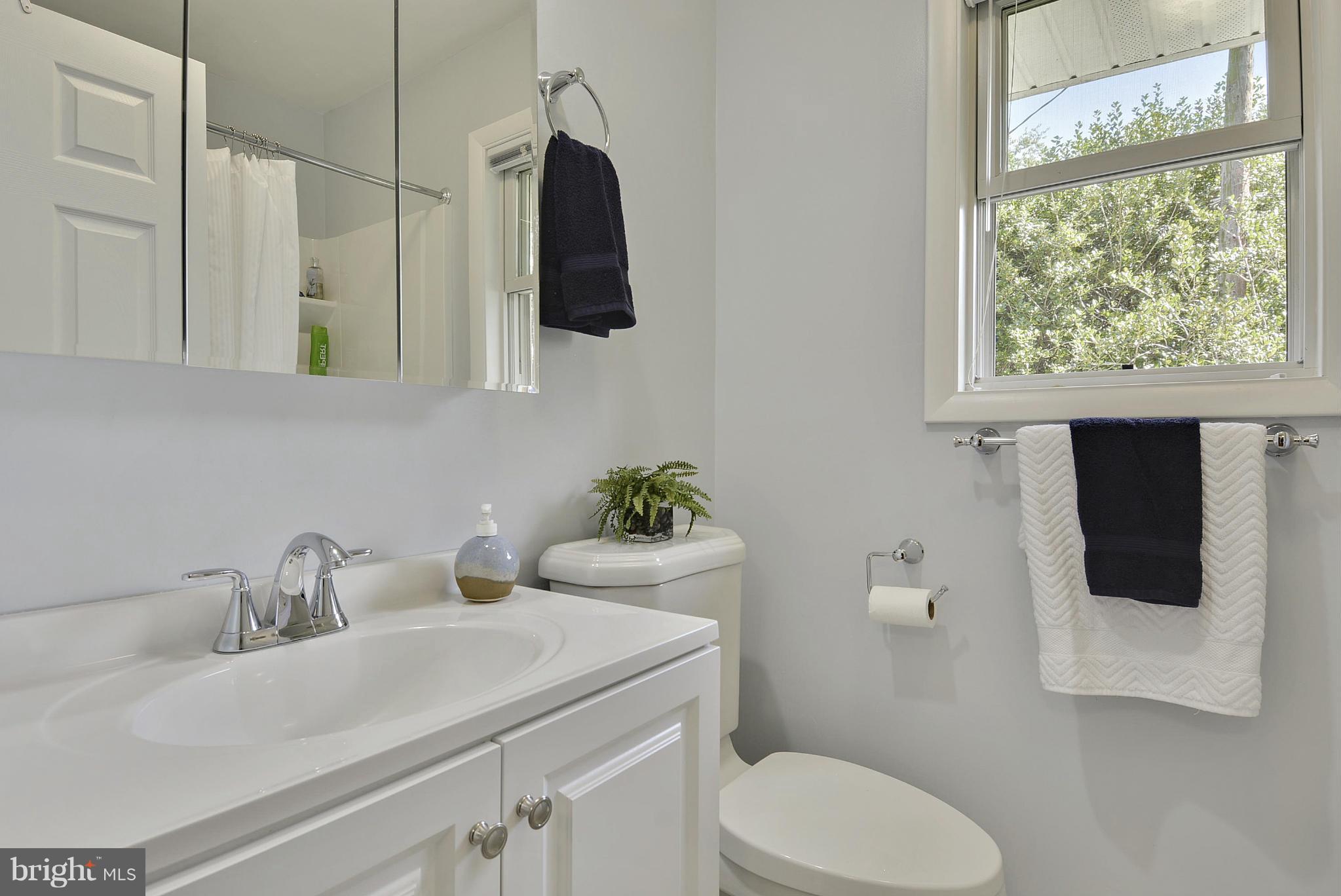 11419 Mapleview Drive Silver Spring, MD 20902 - Photo 22 of 30 Bath