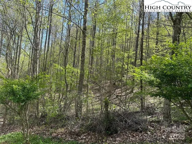 $25,000 | Tbd Tbd Quail Hollow Drive, Unit 27, Crumpler, NC 28617