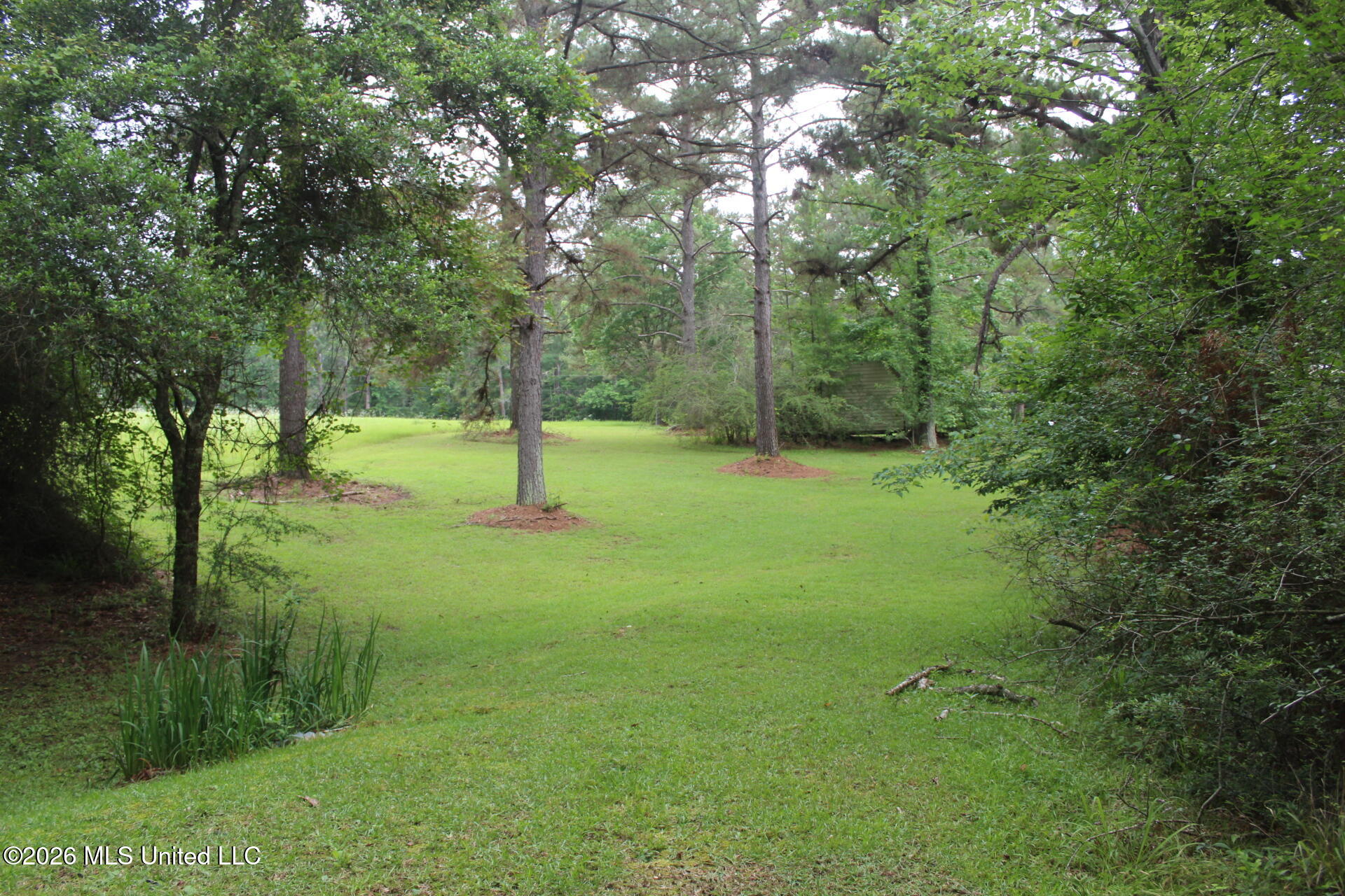 429 River Rd Drive Southeast Bogue Chitto, MS 39629 - Photo 18 of 38 IMG_9735