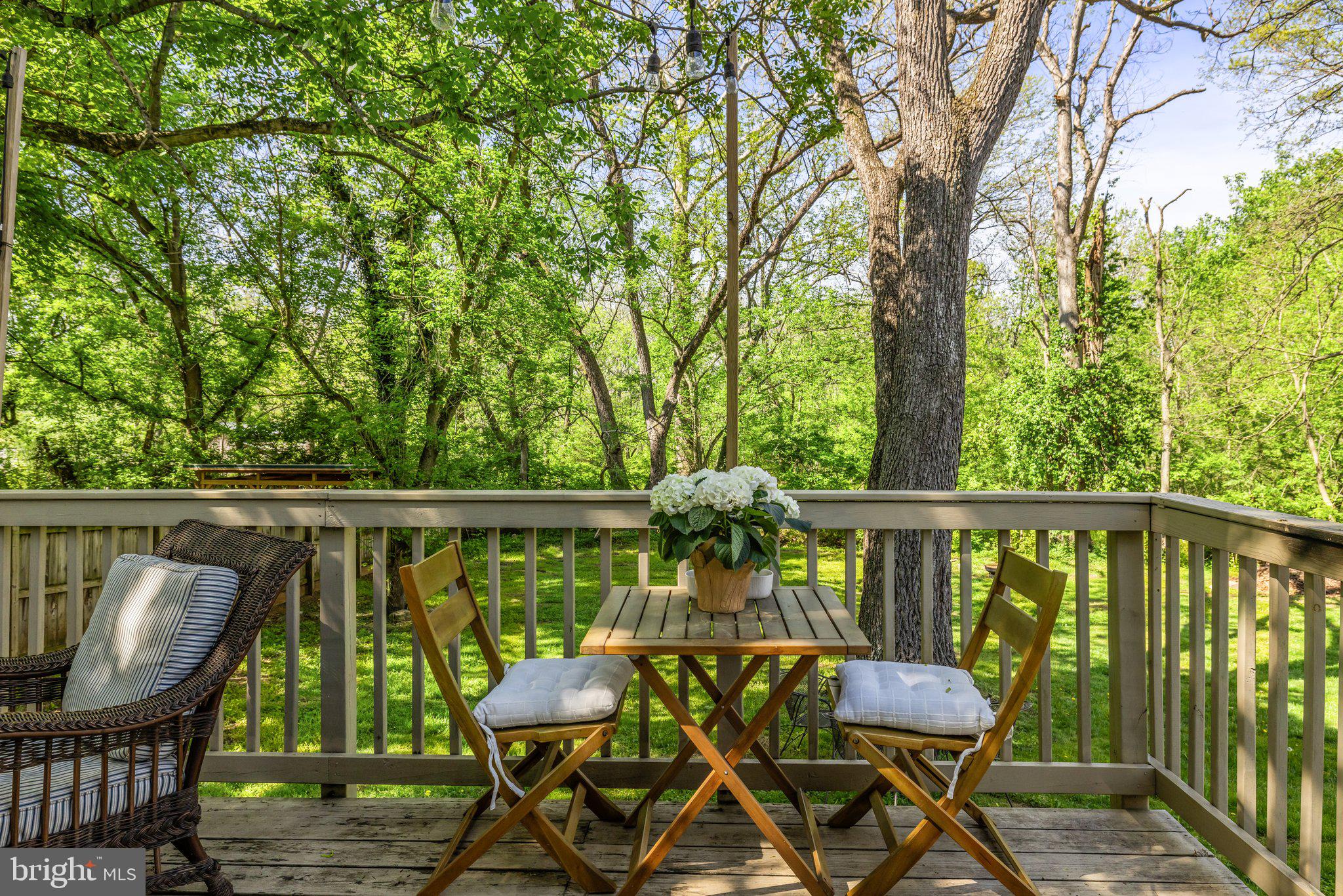 1974 Millwood Road Boyce, VA 22620 - Photo 41 of 57