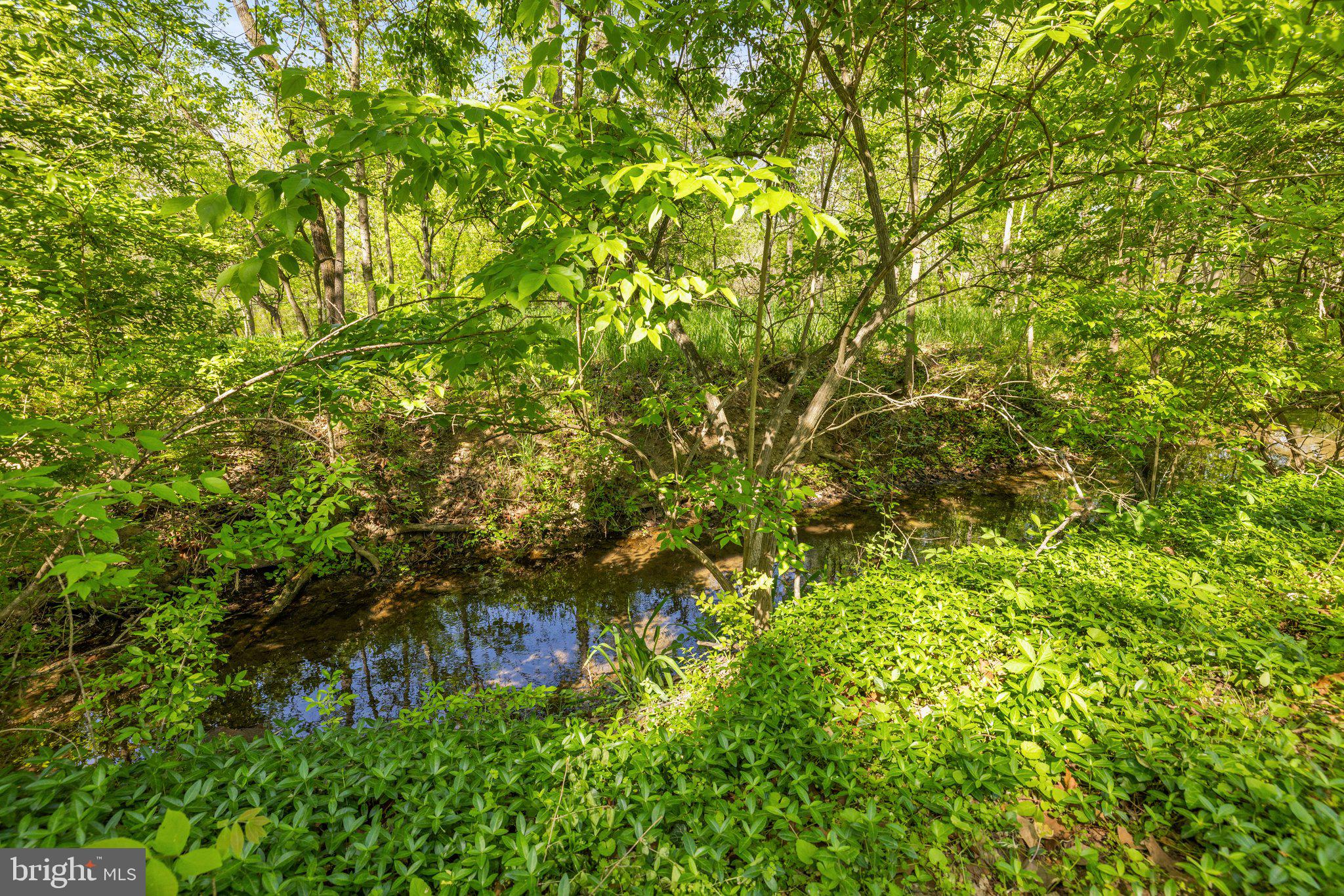 1974 Millwood Road Boyce, VA 22620 - Photo 53 of 57