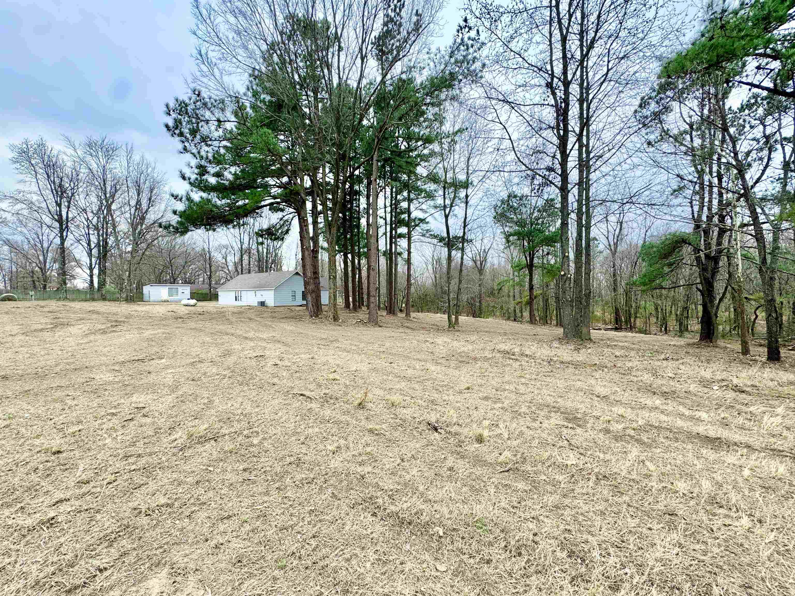 6400 Kerrville Rosemark Road Millington, TN 38053 - Photo 30 of 36 View of yard