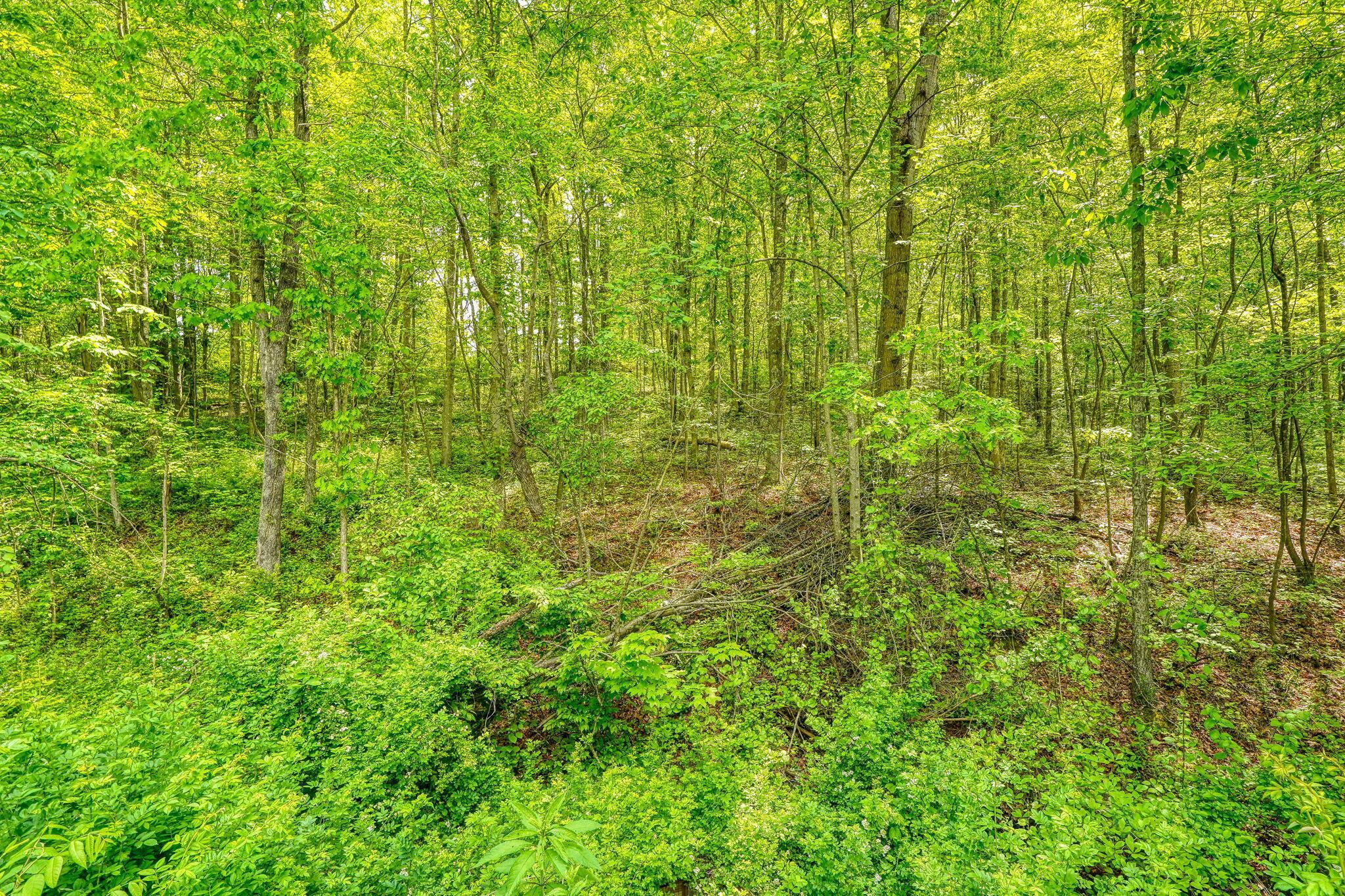 109 Bunker Hill Road Wellston, OH 45692 - Photo 6 of 42 6. Land (2)
