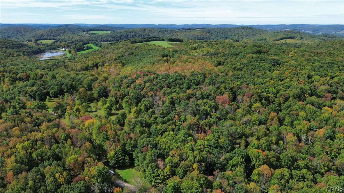 Lot 21 Buddle Road Richfield Springs, NY 13439 - Photo 12 of 21 Gallery Image 12