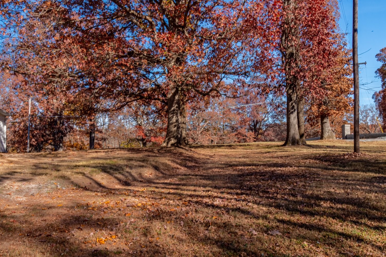 7212 Methodist Church Road Lyles, TN 37098 - Photo 10 of 38 Gallery Image 10