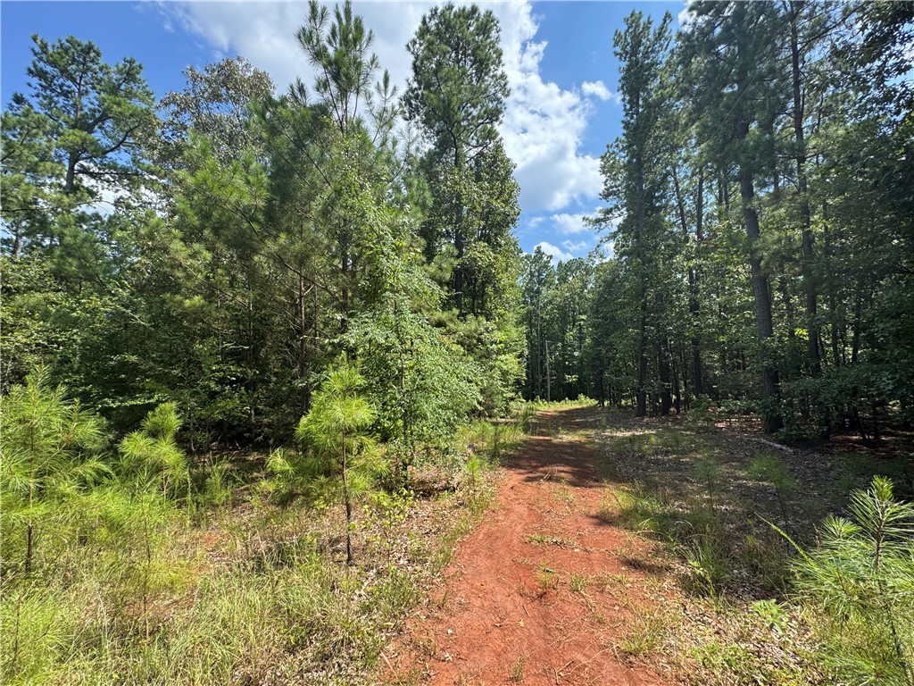 1324 Highway 81 Calhoun Falls, SC 29628 - Photo 13 of 45