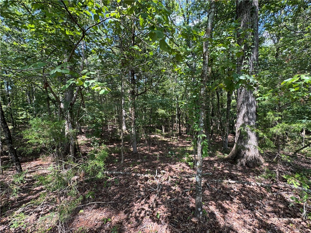 1324 Highway 81 Calhoun Falls, SC 29628 - Photo 17 of 45