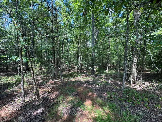 $500,000 | 1324 Highway 81, Calhoun Falls, SC 29628