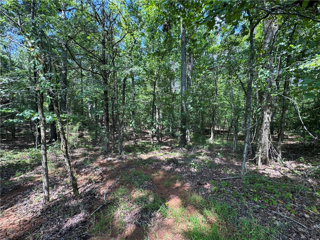 1324 Highway 81 Calhoun Falls, SC 29628 - Photo 18 of 45