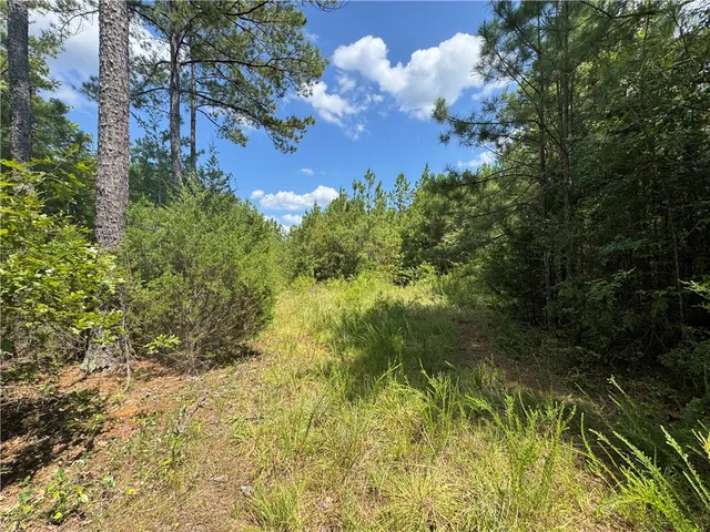 $500,000 | 1324 Highway 81, Calhoun Falls, SC 29628