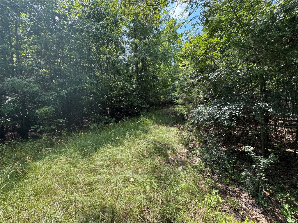 1324 Highway 81 Calhoun Falls, SC 29628 - Photo 24 of 45