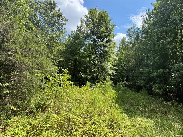 $500,000 | 1324 Highway 81, Calhoun Falls, SC 29628