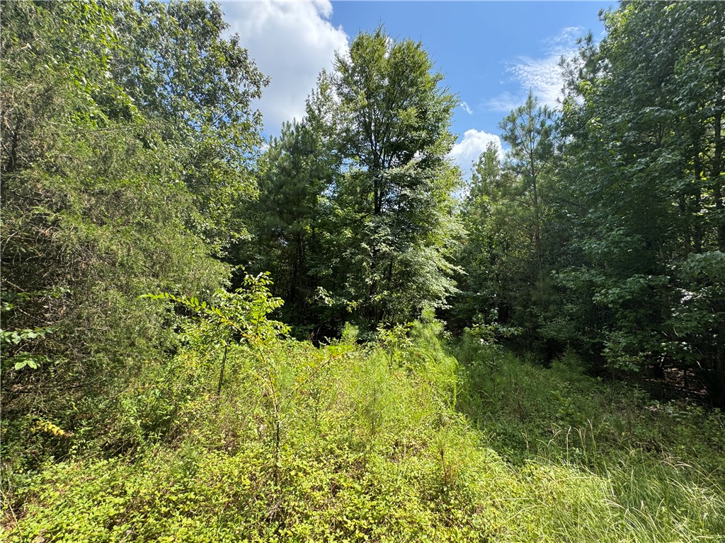 1324 Highway 81 Calhoun Falls, SC 29628 - Photo 25 of 45