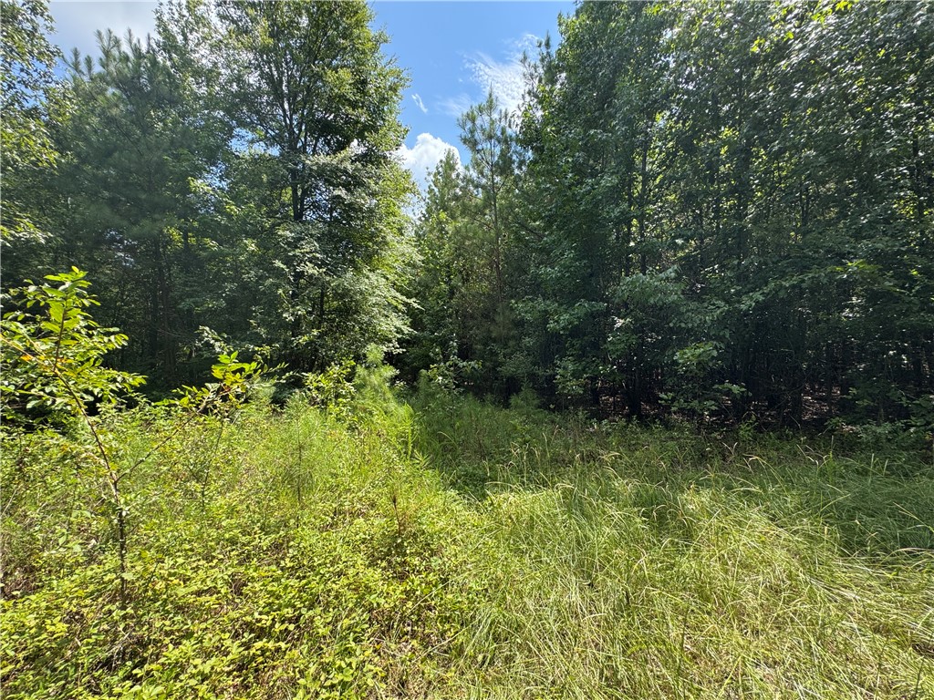 1324 Highway 81 Calhoun Falls, SC 29628 - Photo 26 of 45