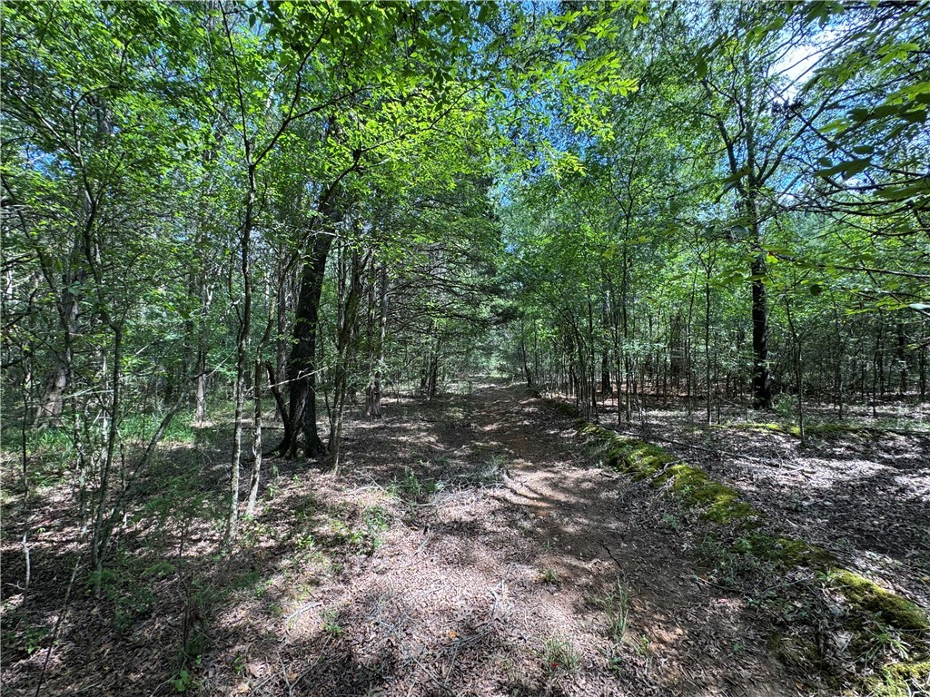 1324 Highway 81 Calhoun Falls, SC 29628 - Photo 27 of 45