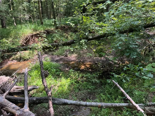 $500,000 | 1324 Highway 81, Calhoun Falls, SC 29628