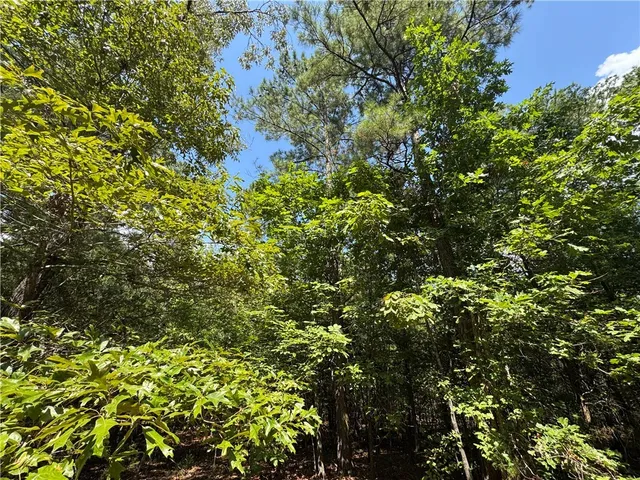 $500,000 | 1324 Highway 81, Calhoun Falls, SC 29628