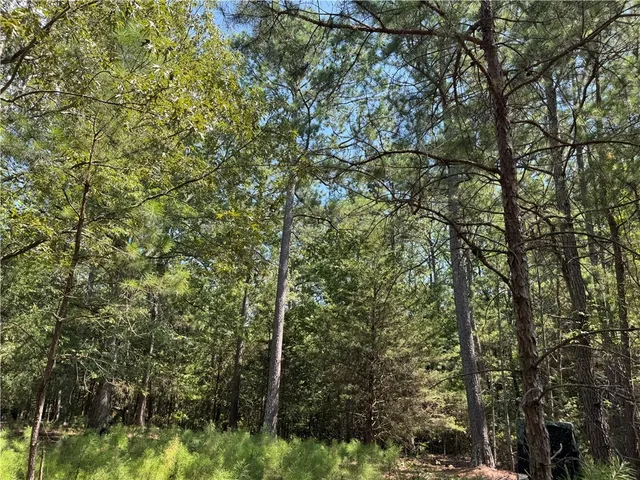 $500,000 | 1324 Highway 81, Calhoun Falls, SC 29628